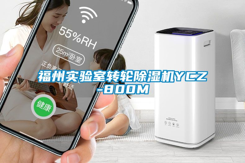 福州實驗室轉(zhuǎn)輪除濕機YCZ-800M