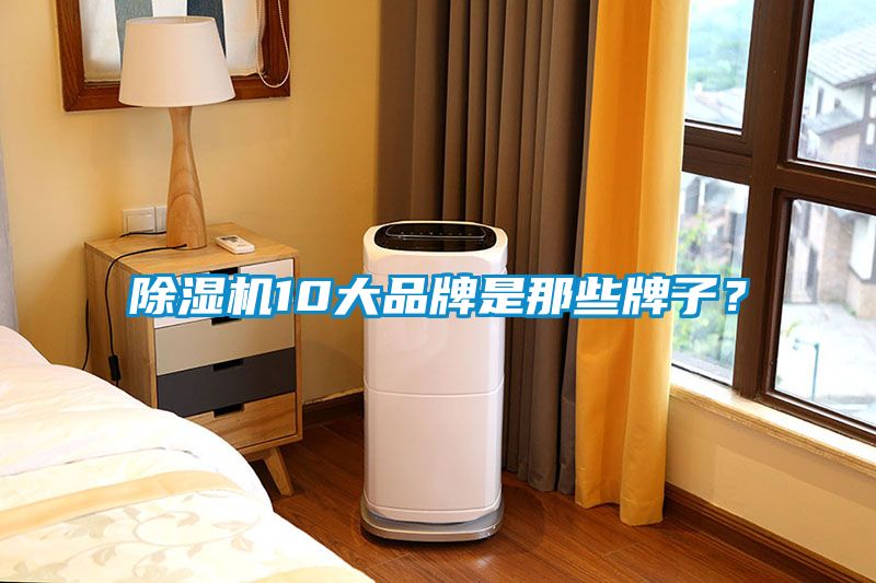 除濕機10大品牌是那些牌子？