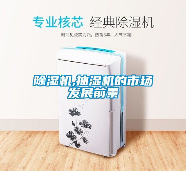 除濕機(jī),抽濕機(jī)的市場(chǎng)發(fā)展前景