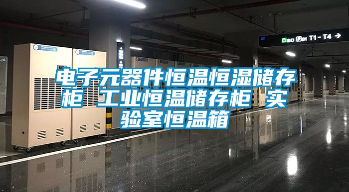 電子元器件恒溫恒濕儲存柜 工業恒溫儲存柜 實驗室恒溫箱