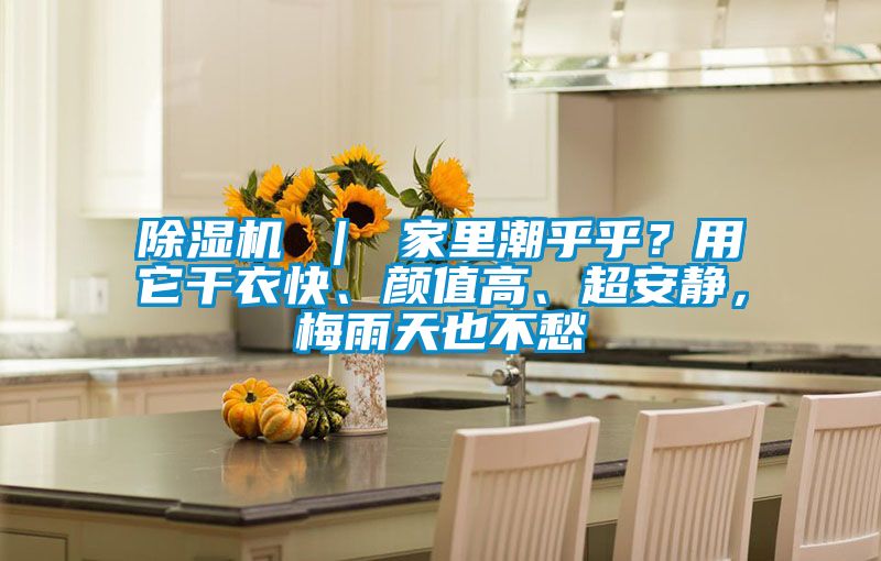 除濕機 ｜ 家里潮乎乎？用它干衣快、顏值高、超安靜，梅雨天也不愁