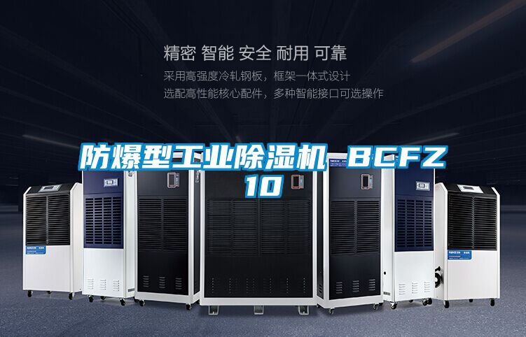 防爆型工業(yè)除濕機 BCFZ10