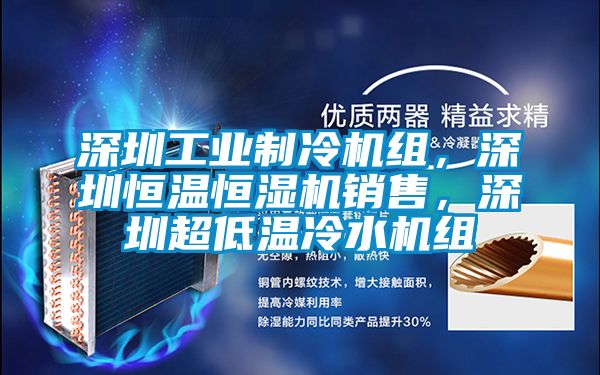 深圳工業制冷機組，深圳恒溫恒濕機銷售，深圳超低溫冷水機組