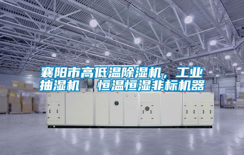 襄陽(yáng)市高低溫除濕機(jī)，工業(yè)抽濕機(jī)  恒溫恒濕非標(biāo)機(jī)器