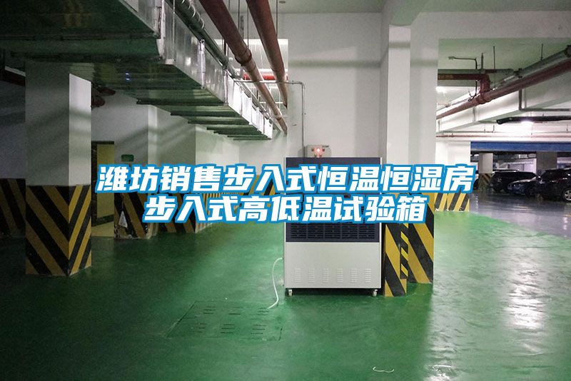 濰坊銷售步入式恒溫恒濕房步入式高低溫試驗(yàn)箱
