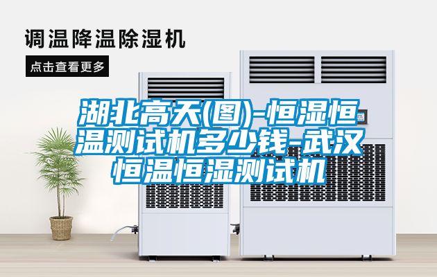 湖北高天(圖)-恒濕恒溫測(cè)試機(jī)多少錢(qián)-武漢恒溫恒濕測(cè)試機(jī)
