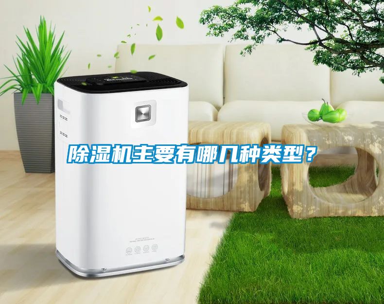 除濕機主要有哪幾種類型？