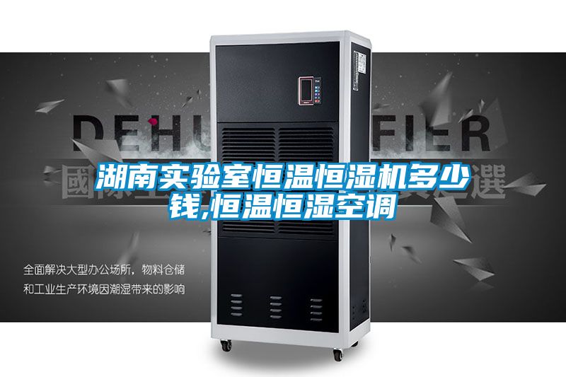 湖南實驗室恒溫恒濕機多少錢,恒溫恒濕空調