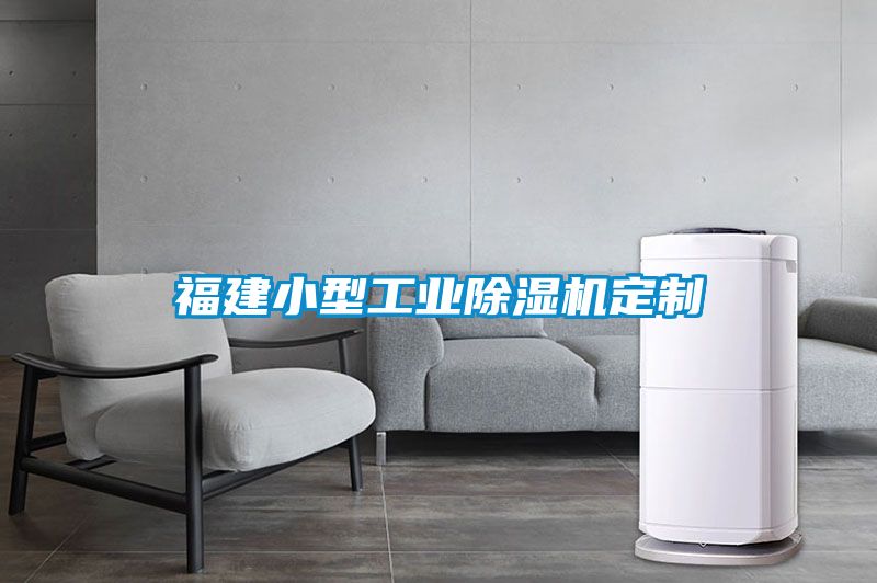 福建小型工業除濕機定制