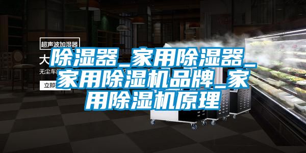 除濕器_家用除濕器_家用除濕機(jī)品牌_家用除濕機(jī)原理