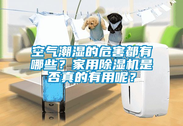 空氣潮濕的危害都有哪些？家用除濕機(jī)是否真的有用呢？
