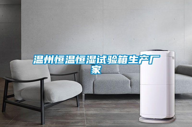 溫州恒溫恒濕試驗箱生產(chǎn)廠家