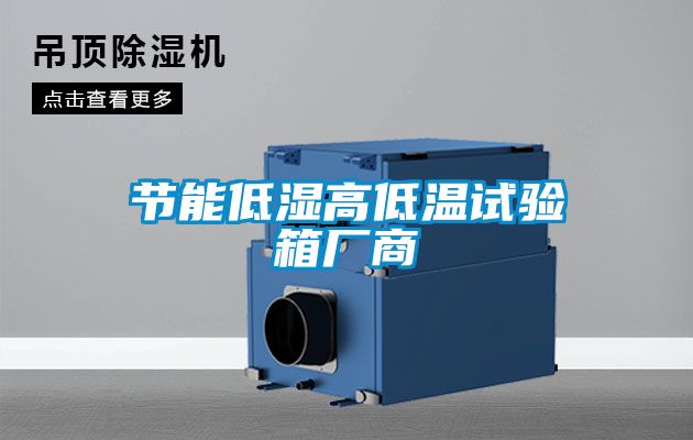 節能低濕高低溫試驗箱廠商