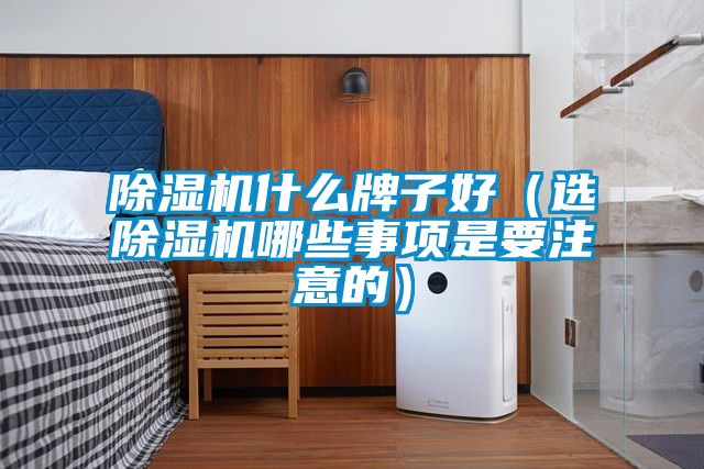 除濕機(jī)什么牌子好（選除濕機(jī)哪些事項(xiàng)是要注意的）