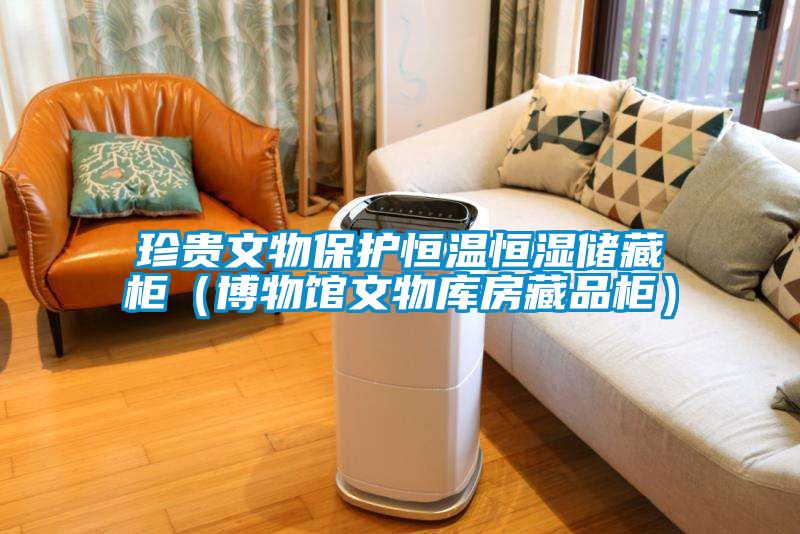 珍貴文物保護(hù)恒溫恒濕儲藏柜（博物館文物庫房藏品柜）
