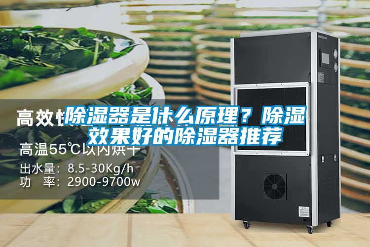 除濕器是什么原理？除濕效果好的除濕器推薦