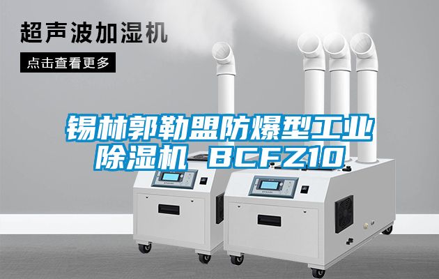 錫林郭勒盟防爆型工業(yè)除濕機(jī) BCFZ10
