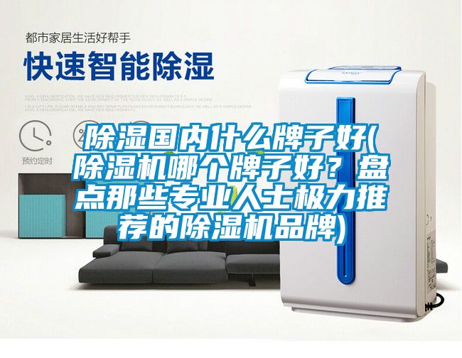 除濕國內(nèi)什么牌子好(除濕機哪個牌子好？盤點那些專業(yè)人士極力推薦的除濕機品牌)