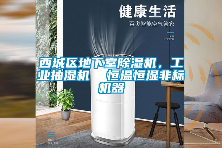 西城區(qū)地下室除濕機，工業(yè)抽濕機  恒溫恒濕非標機器