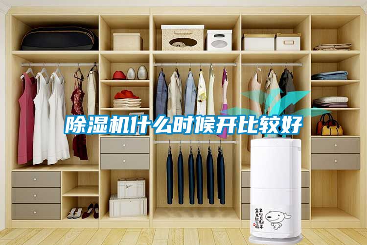 除濕機(jī)什么時(shí)候開(kāi)比較好