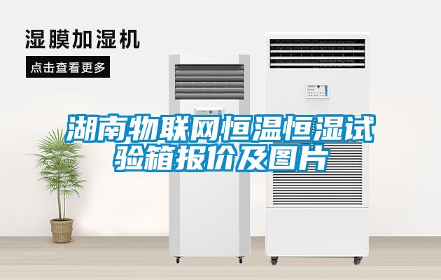 湖南物聯(lián)網(wǎng)恒溫恒濕試驗(yàn)箱報(bào)價(jià)及圖片