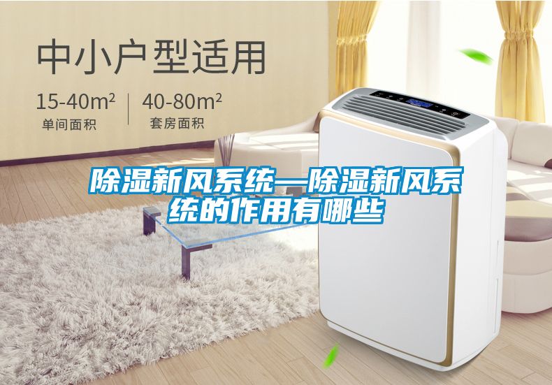 除濕新風(fēng)系統(tǒng)—除濕新風(fēng)系統(tǒng)的作用有哪些