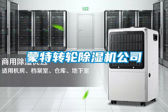 蒙特轉(zhuǎn)輪除濕機(jī)公司
