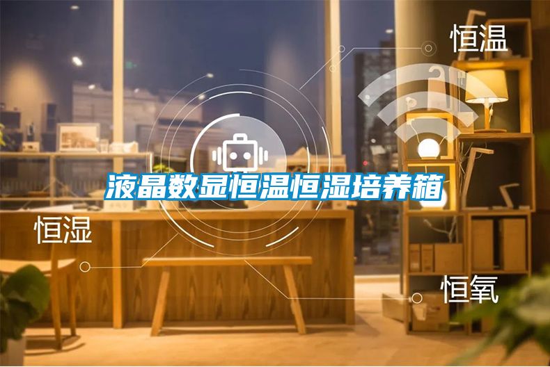 液晶數(shù)顯恒溫恒濕培養(yǎng)箱