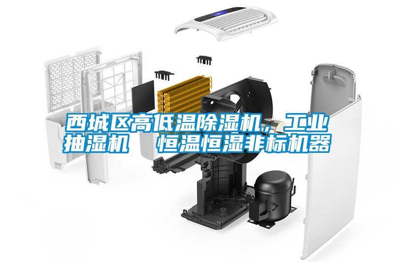 西城區高低溫除濕機，工業抽濕機  恒溫恒濕非標機器