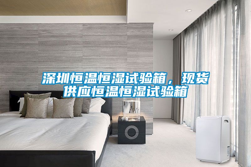深圳恒溫恒濕試驗箱，現貨供應恒溫恒濕試驗箱