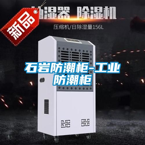 石巖防潮柜-工業防潮柜