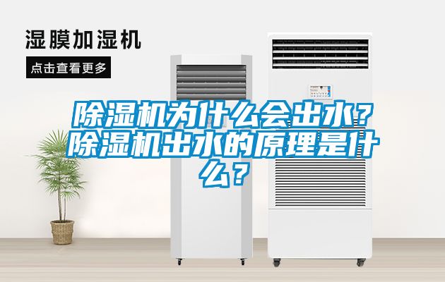 除濕機為什么會出水？除濕機出水的原理是什么？