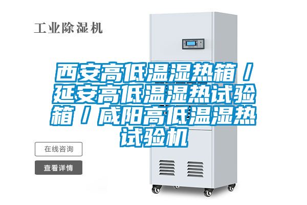 西安高低溫濕熱箱／延安高低溫濕熱試驗箱／咸陽高低溫濕熱試驗機