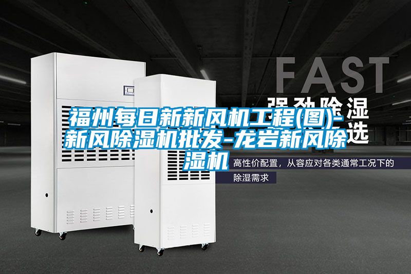 福州每日新新風機工程(圖)-新風除濕機批發-龍巖新風除濕機