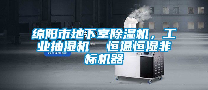 綿陽市地下室除濕機，工業抽濕機  恒溫恒濕非標機器