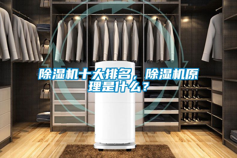 除濕機(jī)十大排名，除濕機(jī)原理是什么？