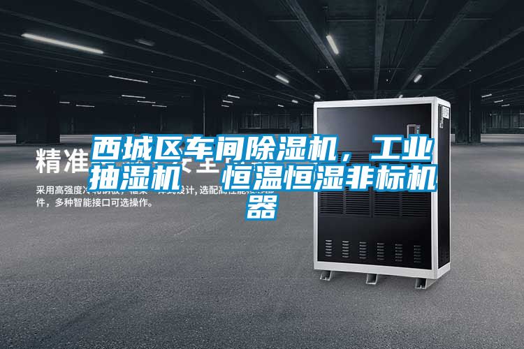 西城區(qū)車間除濕機，工業(yè)抽濕機  恒溫恒濕非標機器