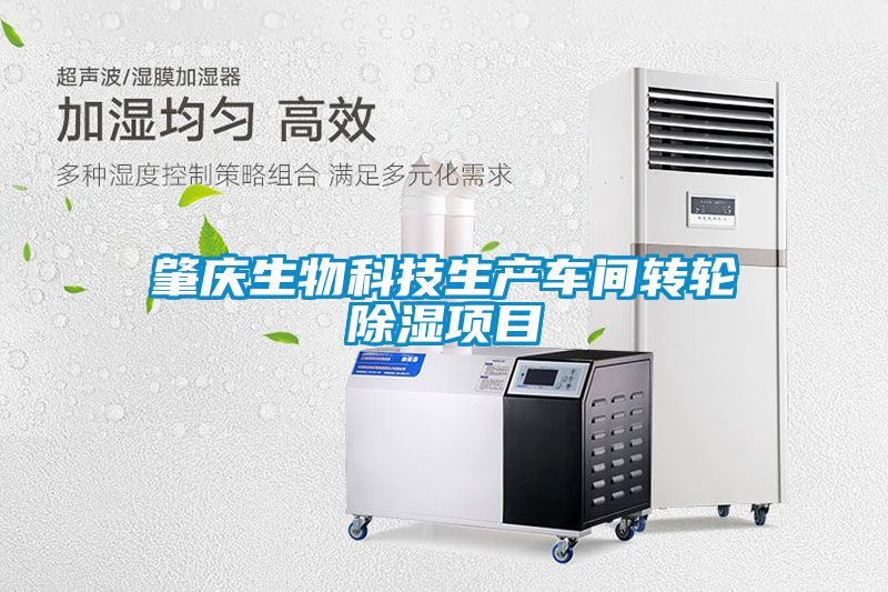肇慶生物科技生產(chǎn)車間轉輪除濕項目