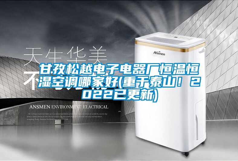 甘孜松越電子電器廠恒溫恒濕空調哪家好(重于泰山！2022已更新)