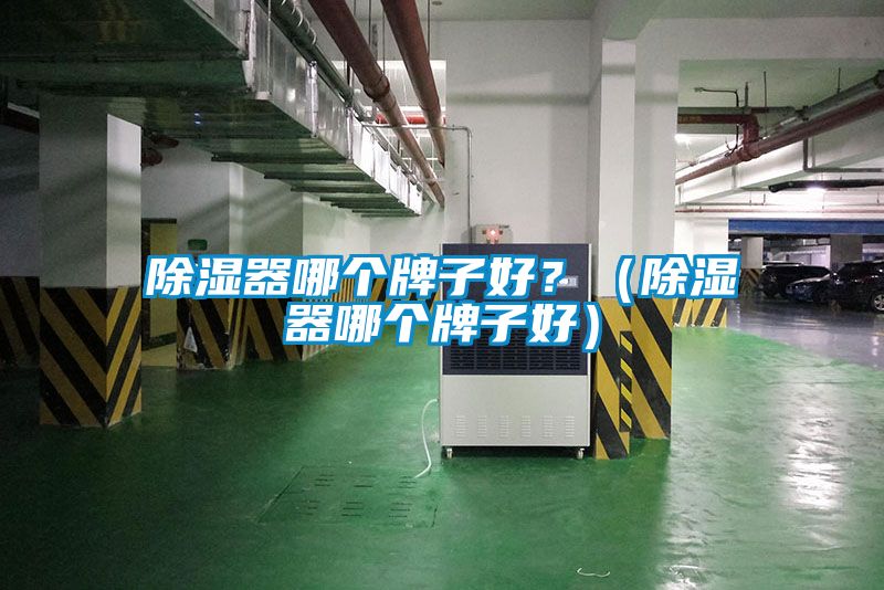 除濕器哪個牌子好？（除濕器哪個牌子好）