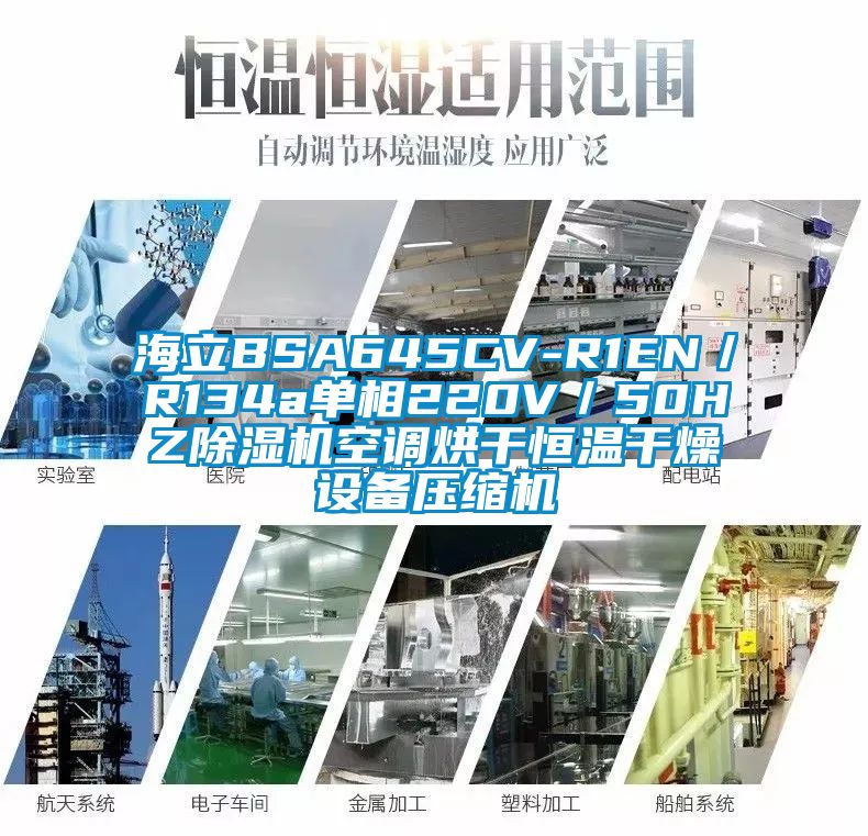 海立BSA645CV-R1EN／R134a單相220V／50HZ除濕機空調(diào)烘干恒溫干燥設(shè)備壓縮機