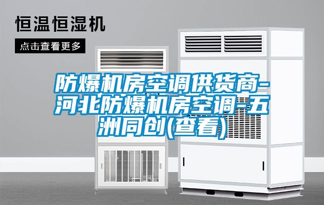 防爆機(jī)房空調(diào)供貨商-河北防爆機(jī)房空調(diào)-五洲同創(chuàng)(查看)