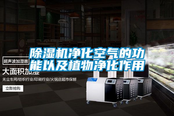 除濕機(jī)凈化空氣的功能以及植物凈化作用
