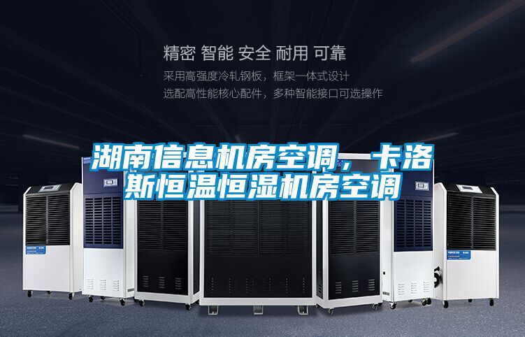 湖南信息機(jī)房空調(diào)，卡洛斯恒溫恒濕機(jī)房空調(diào)