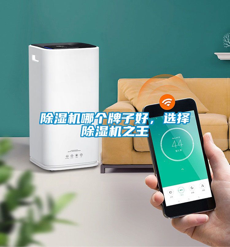 除濕機(jī)哪個(gè)牌子好，選擇除濕機(jī)之王