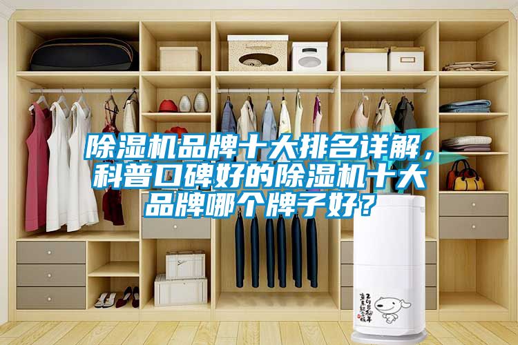 除濕機(jī)品牌十大排名詳解，科普口碑好的除濕機(jī)十大品牌哪個(gè)牌子好？