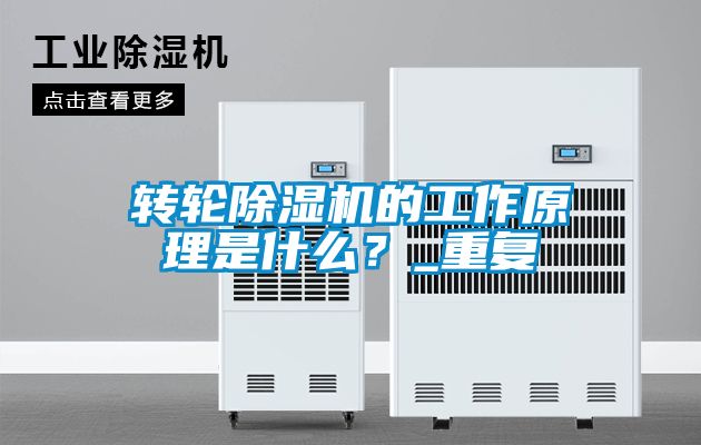 轉輪除濕機的工作原理是什么？_重復