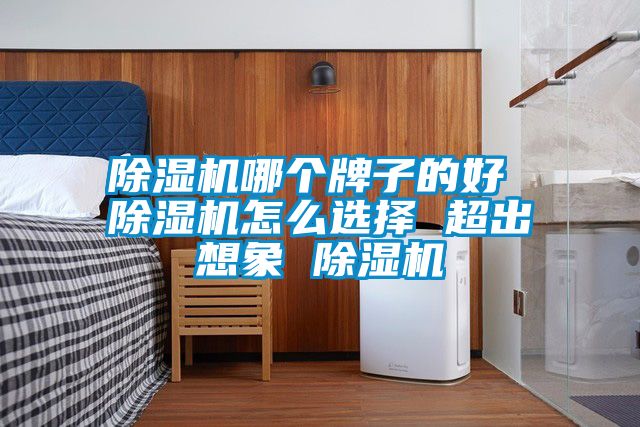 除濕機哪個牌子的好 除濕機怎么選擇 超出想象 除濕機