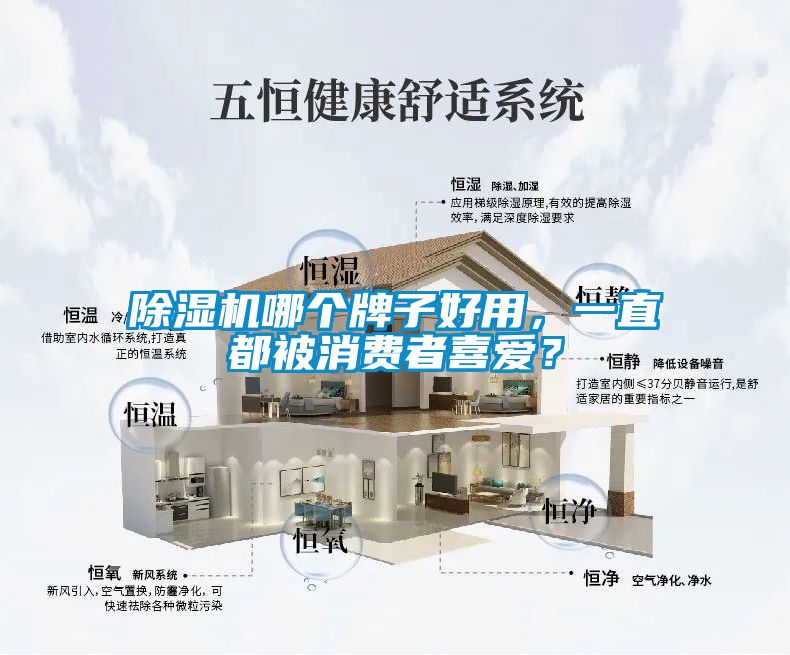除濕機(jī)哪個(gè)牌子好用，一直都被消費(fèi)者喜愛？