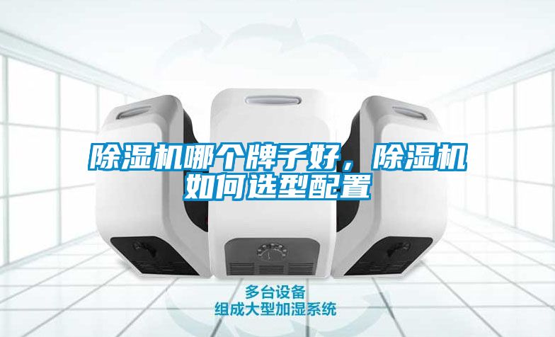 除濕機哪個牌子好，除濕機如何選型配置